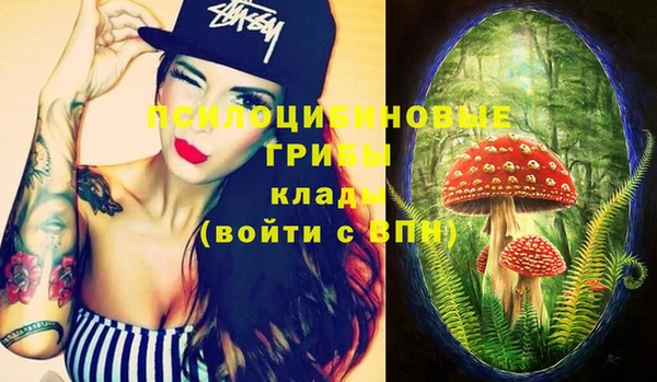 ГАЛЛЮЦИНОГЕННЫЕ ГРИБЫ Надым