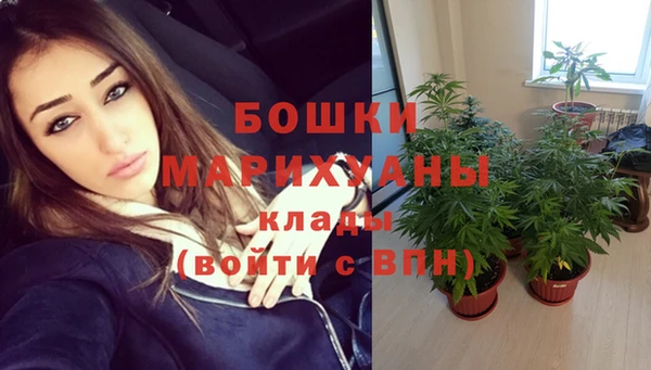 ГАЛЛЮЦИНОГЕННЫЕ ГРИБЫ Надым