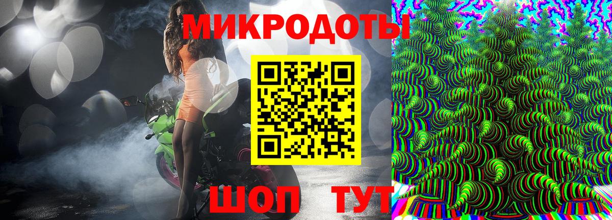 Псилоцибиновые грибы Cubensis Баксан