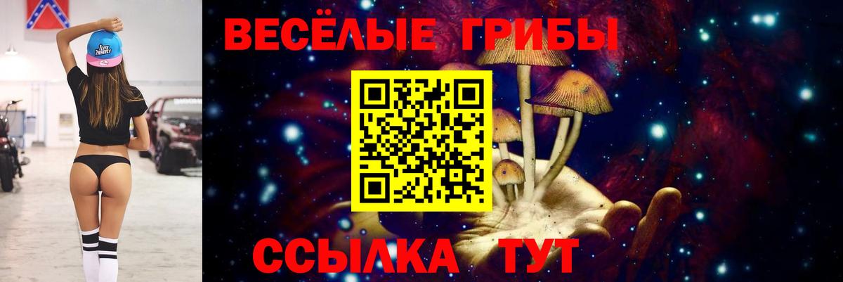 Галлюциногенные грибы мицелий Баксан